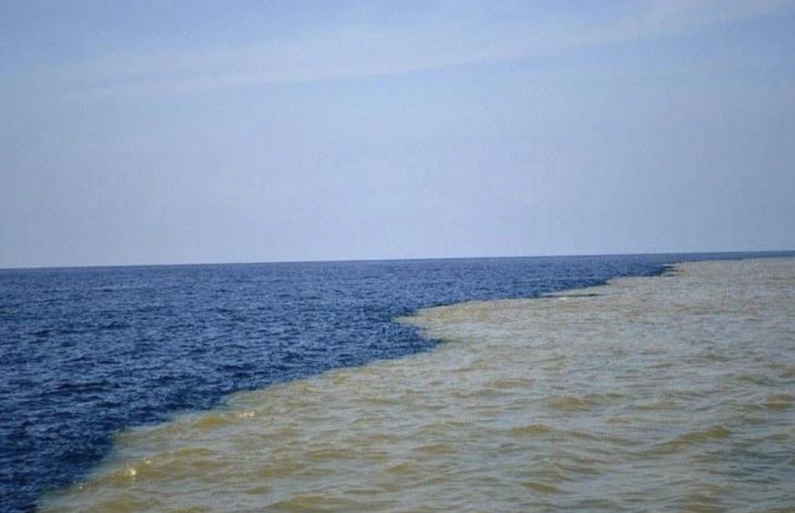 Воды океанов не смешиваются. Город Скаген два течения. Галоклин Скаген. Галоклин Балтийское море. Балтийское море Атлантический океан.